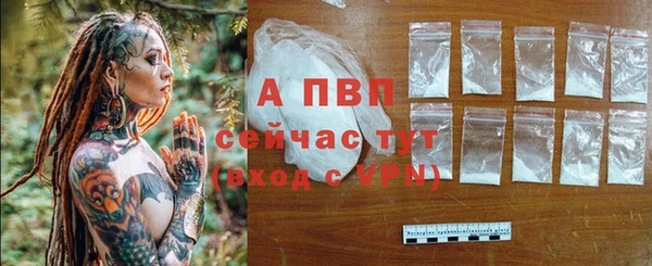 прущие крисы Белокуриха