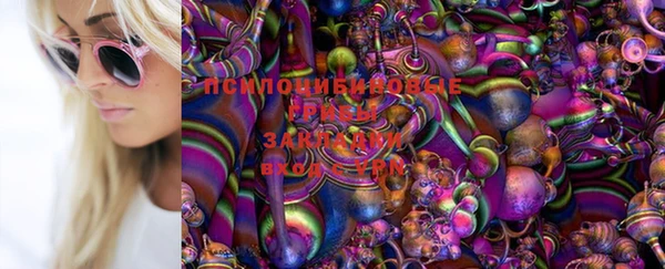 стаф Богородск