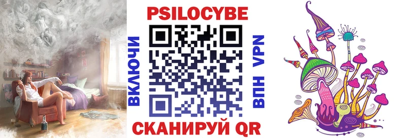 гидра как войти  дарнет шоп  Курильск  Псилоцибиновые грибы GOLDEN TEACHER 